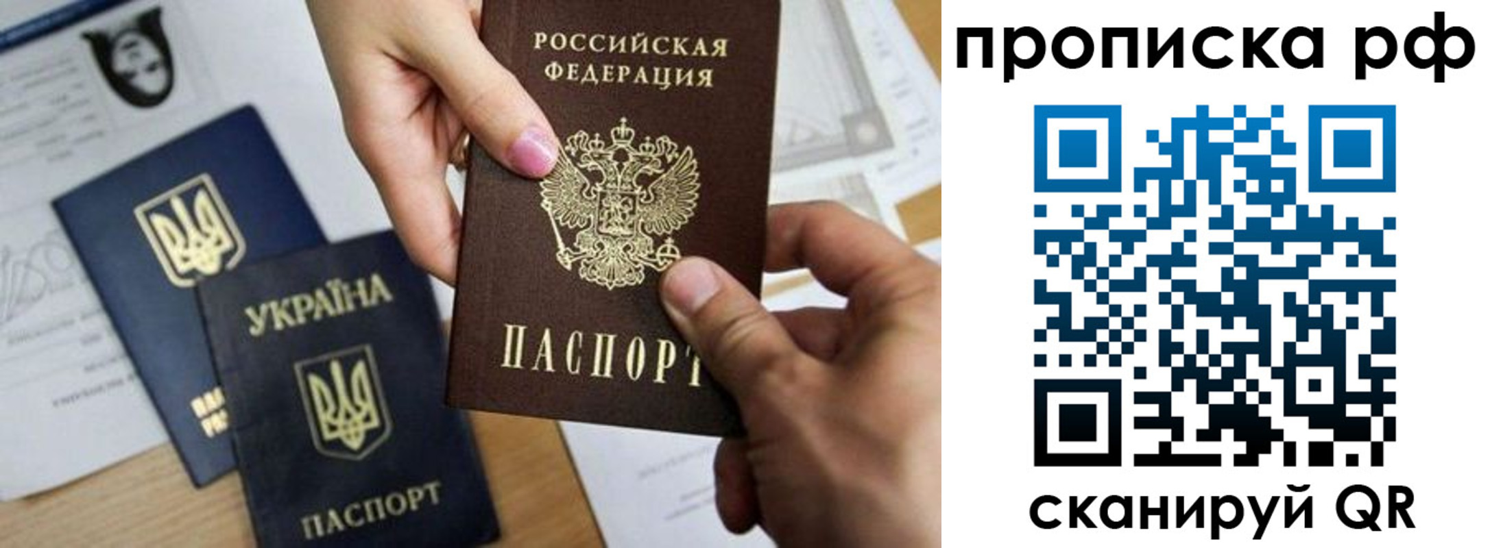 прописка поиск в Химках