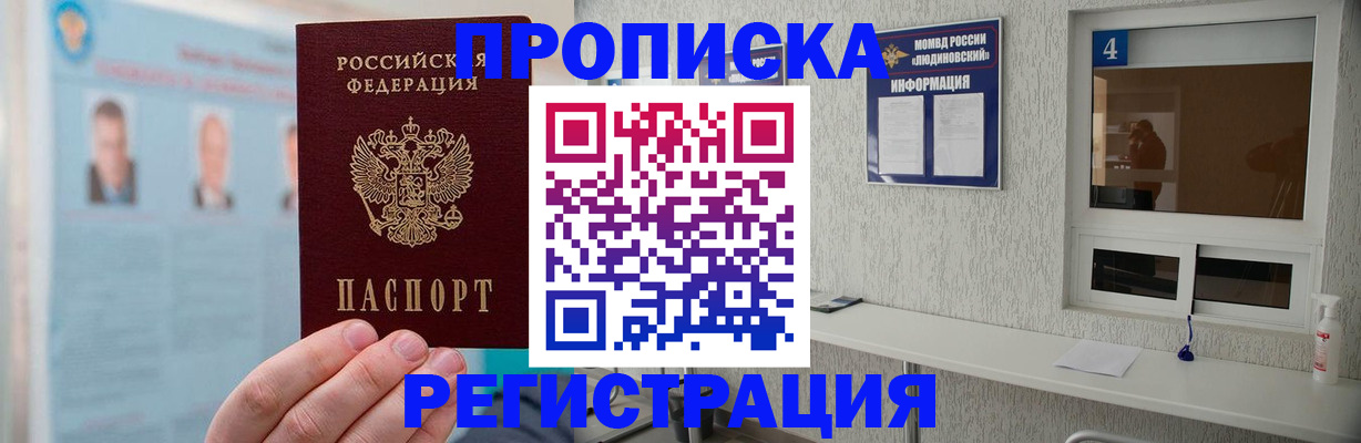 регистрация в Химках